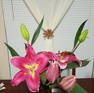 Meet your Posher, Cheryl